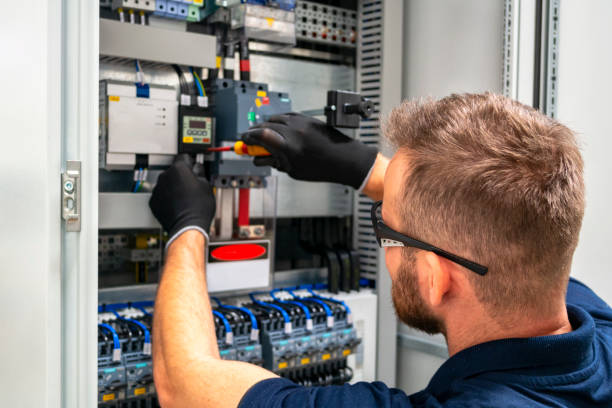 Best Industrial Electrical Services  in Wenona, IL
