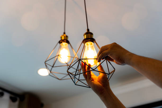 Best Licensed Electrician  in Wenona, IL