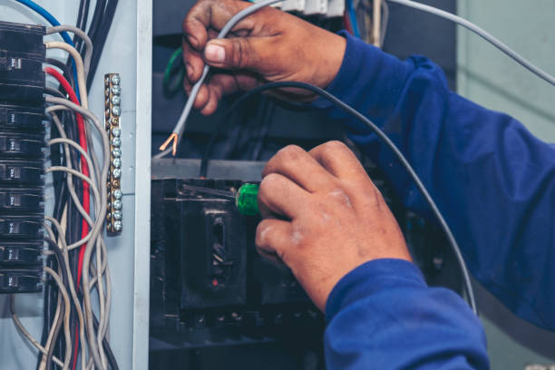 Best Licensed Electrician  in Wenona, IL