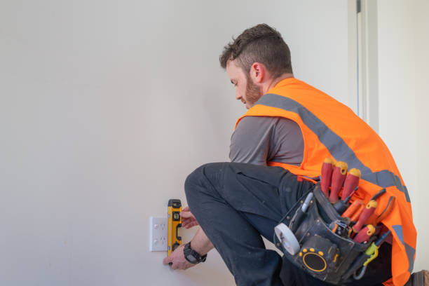 Best Electrical Repair Services  in Wenona, IL