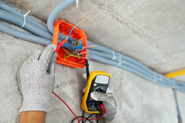 Best Electrical Upgrades for Homes  in Wenona, IL