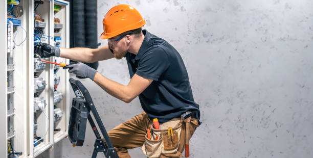 Best Local Electrician Companies  in Wenona, IL