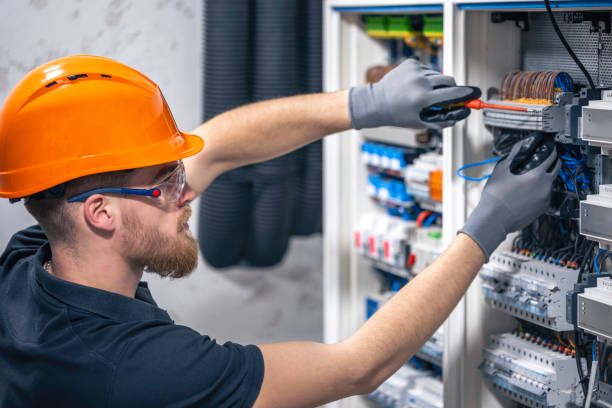 Best Electrical Repair Services  in Wenona, IL